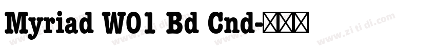 Myriad W01 Bd Cnd字体转换